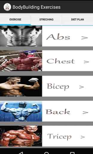 Bodybuilding Exercises 2