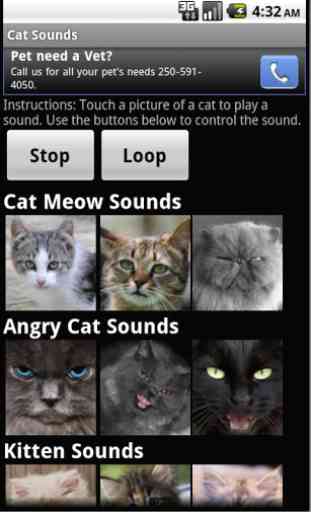 Cat Sounds 1