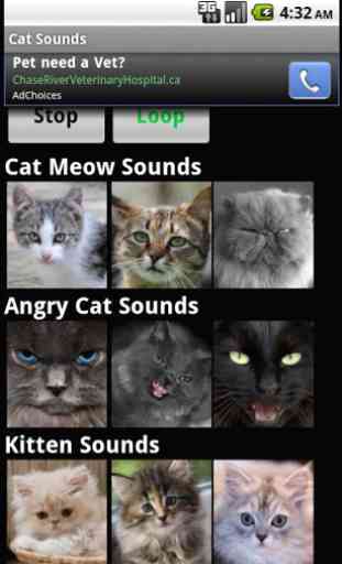 Cat Sounds 2
