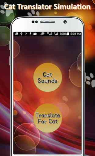 Cat Translator Prank 3