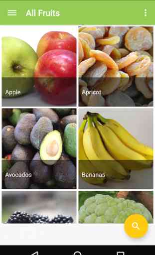 Fruits Nutrition and Benefits 1