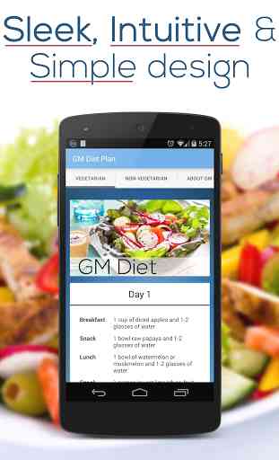 GM Diet Plan 1