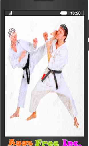 Karate Martial Arts 1