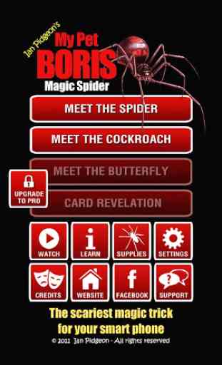 Magic Spider 1