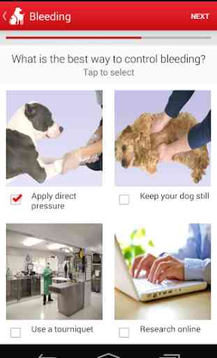 Pet First Aid - Red Cross 3