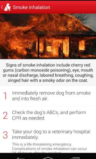 Pet First Aid - Red Cross 4