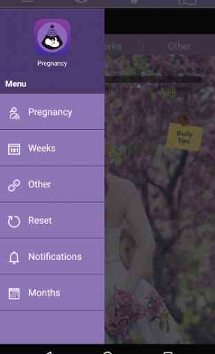 Pregnancy Tracker 3