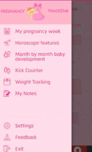 Pregnancy Tracker 2