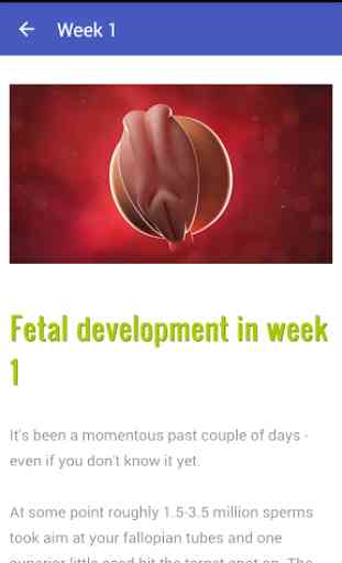 Pregnancy Tracker Week by Week 2