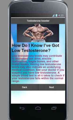 testosterone:bodybuilding tips 2