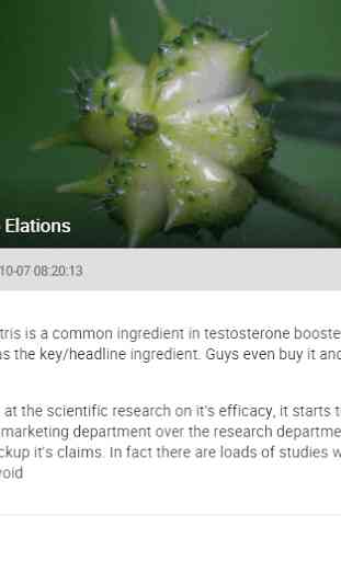 Testosterone Resource 1