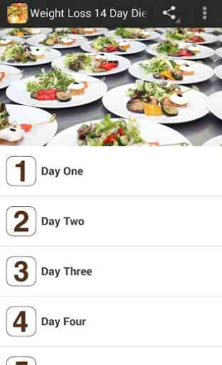 Weight Loss 14 Day Diet Plan 1