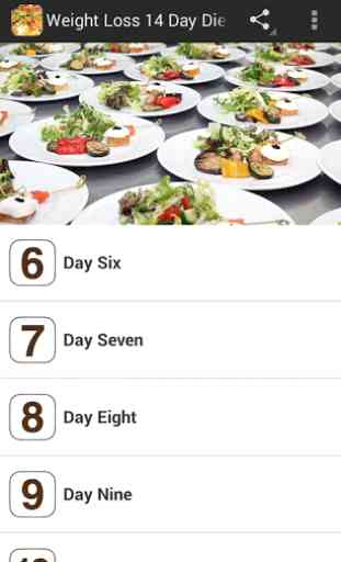 Weight Loss 14 Day Diet Plan 2