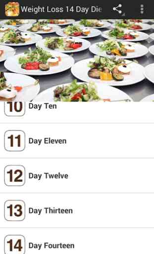 Weight Loss 14 Day Diet Plan 3