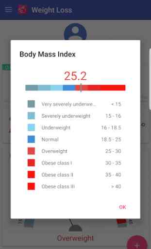 Weight Loss, BMI Tracker 2