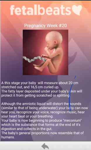 YOUR BABY'S HEARTBEAT ANYTIME! 2