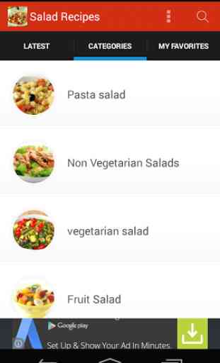 500+ Salad Recipes 3