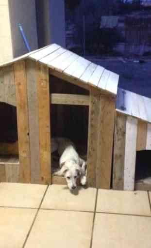 DIY Dog House 3