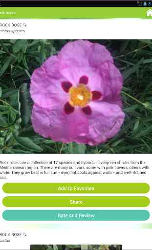GardenAnswers Plant Identifier 2