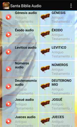 Spanish Bible Audio 2