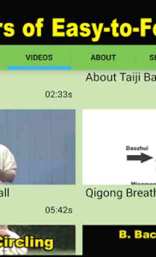 Tai Chi Ball Qigong (Dr. Yang) 2