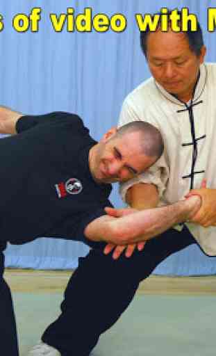 Tai Chi Martial Applications 1