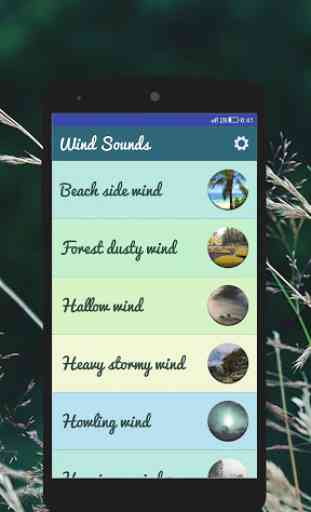 Wind Sounds - Relaxing & Sleep 1