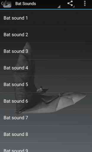 Bat Sounds 1
