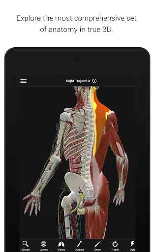 BioDigital Human - 3D Anatomy 2