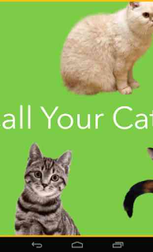 Call Your Cat Sound Board 1