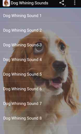 Dog Whining Sounds 1