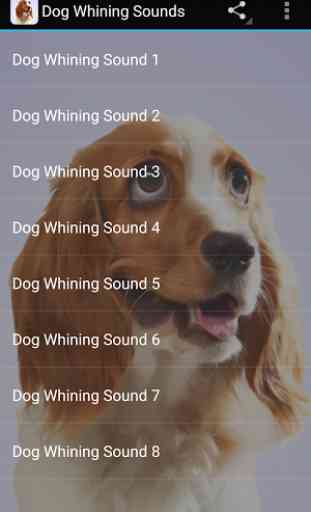 Dog Whining Sounds 3