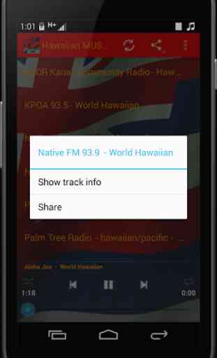 Hawaiian MUSIC Radio 4