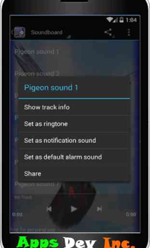 Pigeon Sounds 1
