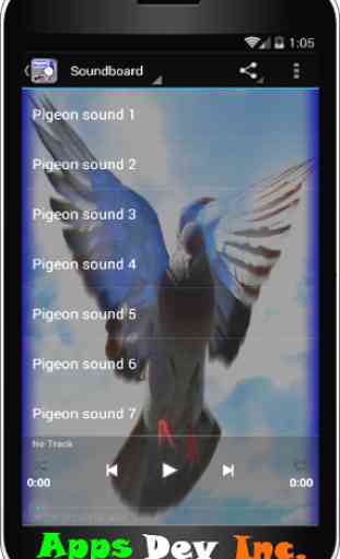 Pigeon Sounds 3