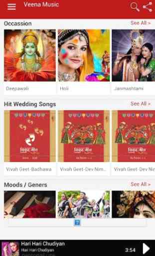 Veena Music - Rajasthani Music 3