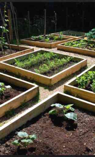 Vegetable Garden Ideas 1