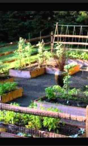 Vegetable Garden Ideas 2