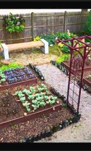 Vegetable Garden Ideas 3