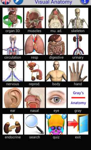 Visual Anatomy 2 1