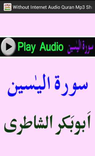 Without Internet Audio Quran 4