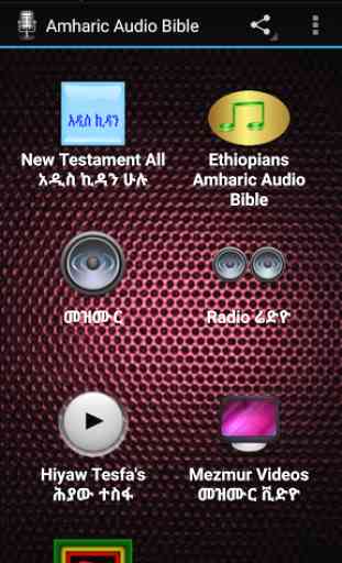 Amharic Audio Bible 2