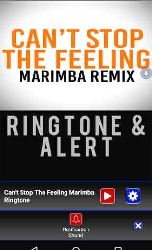 Can't Stop The Feeling Marimba 3