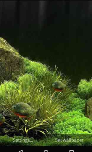 3D Fish Aquarium Wallpaper HD 4