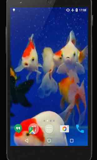 3D Fishes Video Live Wallpaper 2
