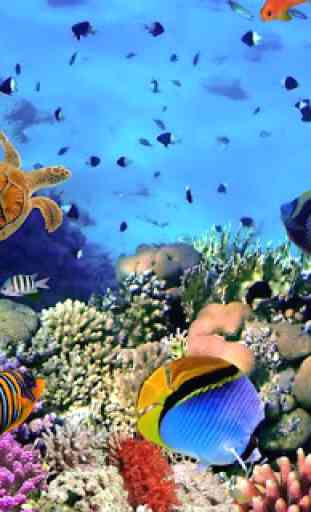 3D Underwater World 2