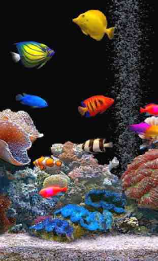 3D Underwater World 3