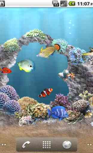 aniPet Aquarium LiveWallpaper 4