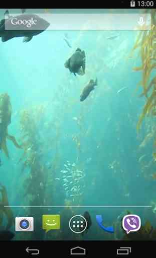 Aquarium HD Live Wallpaper 2