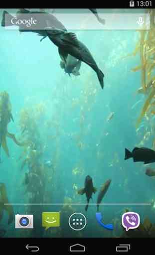 Aquarium HD Live Wallpaper 3